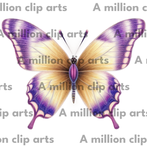 Purple Butterfly clipart