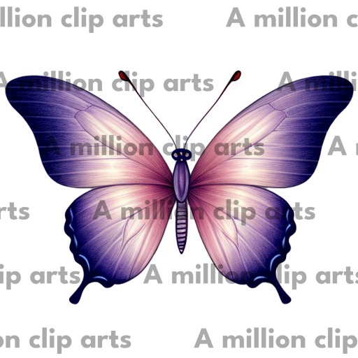 Gradient Butterfly clipart