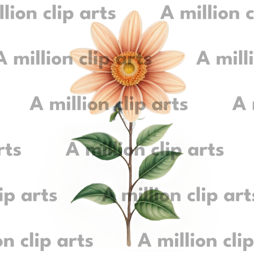 Orange Flower clipart