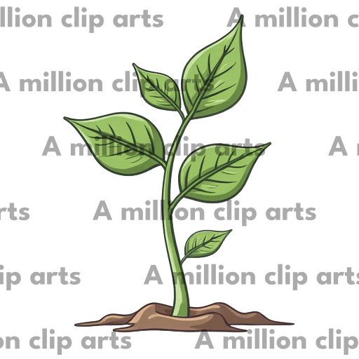 Green Plant clipart