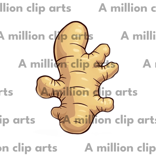 Ginger Root clipart