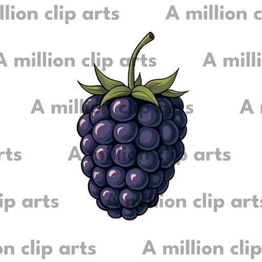 Blackberry Illustration clipart