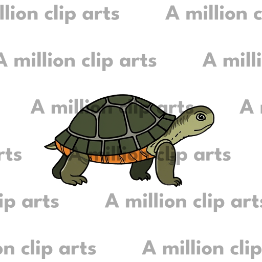 Green Turtle clipart