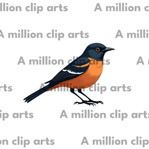 Bird Illustration clipart