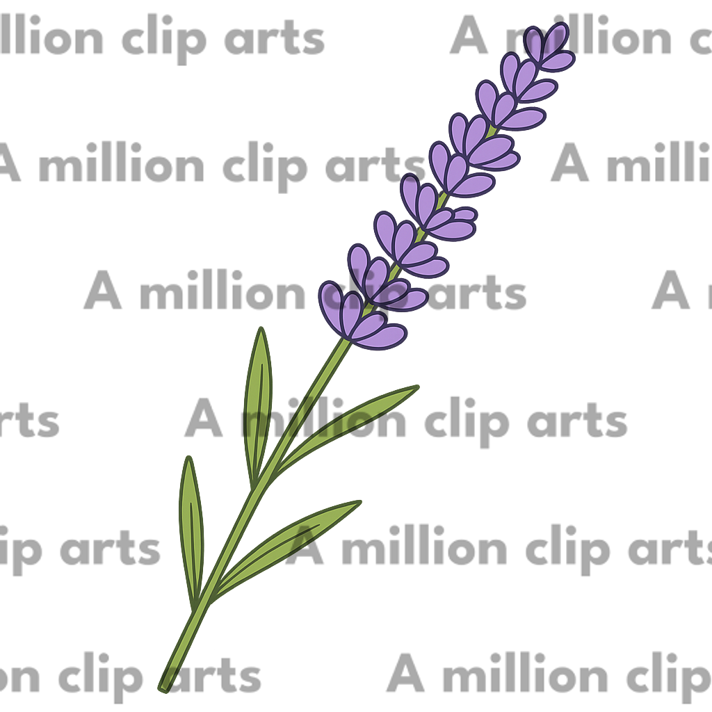 Lavender Flower clipart