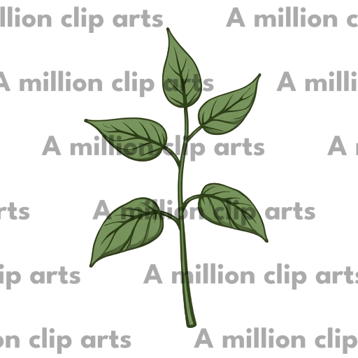 Green Plant clipart