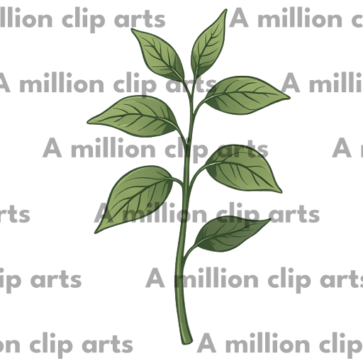 Green Plant clipart