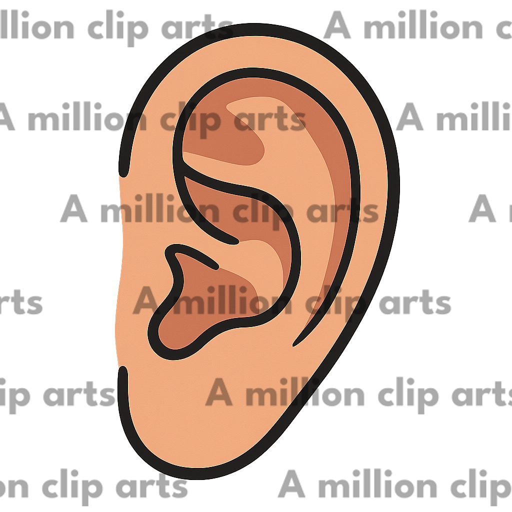 Ear Illustration clipart
