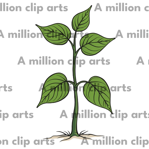 Green Plant clipart